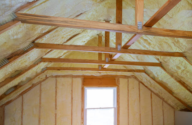 Best Insulation Maintenance and Repair in Ormond By The Sea, FL