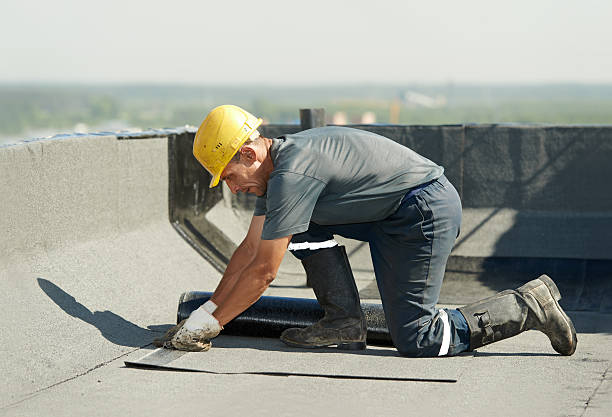 Best Residential Insulation in Ormond By The Sea, FL